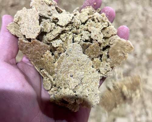 Expeller Soja para Bovino