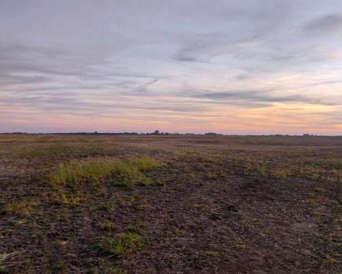 Campo en Bolivar 330 Has