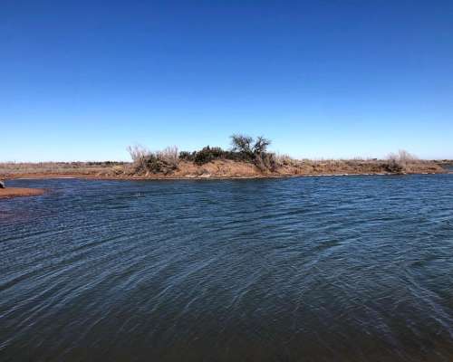 Campo Apto Coto de Caza