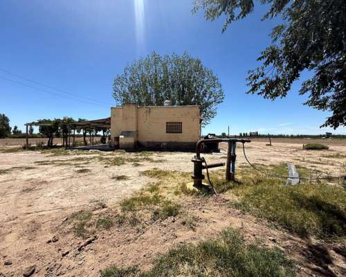 Finca en Venta 30 Ha / las Pintadas - Tunuyán