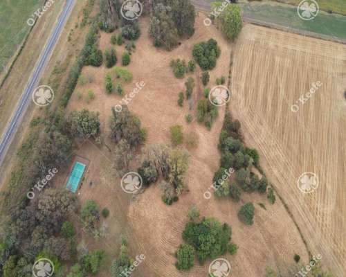 Campo en Venta de 80 Has en Gualeguay, Entre Rios. Agricola.