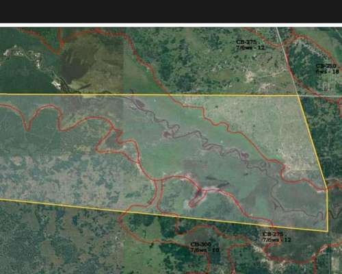 Alquilo 2600 Hectáreas Zona Villa Guillermina