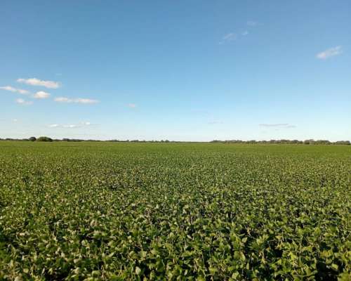 87 Ha en Venta en Capilla de Siton