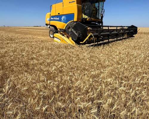 New Holland NC 660 2012