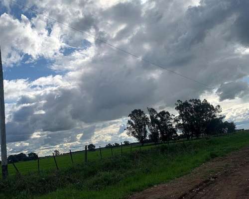 19 Hectareas en Venta en Benito Juárez