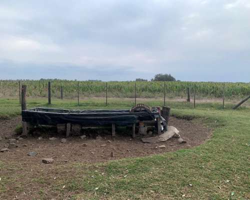 Campo Mixto 32 Hectáreas con Casco Roque Pérez