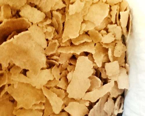 Expeller de Soja Primera Prensada en Frio