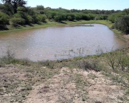 Casnem Inmobiliaria Vende Campo de 9630 HS. con Escritura