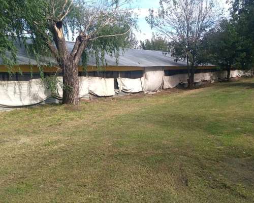 Granja de Pollos en Venta San Pedro