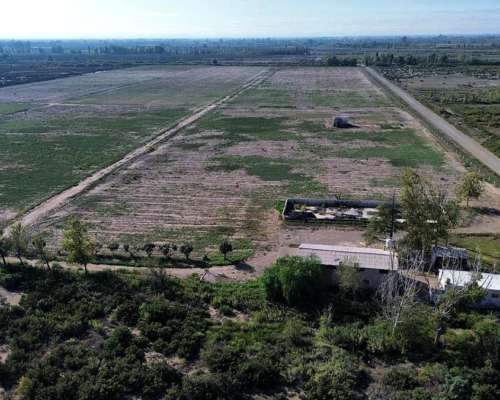Finca en la Pega 25ha con Goteo