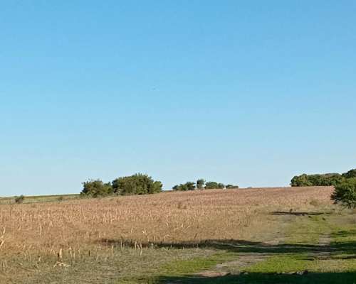 120 Ha en Don Cristobal. Campo Mixto