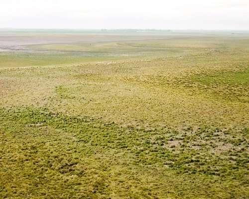 1166 Ha Mixtas Carlos Tejedor, BS. AS. Transf. Paq. Accion.