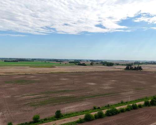 105 Has. Campo Agrícola en San Andres de Giles