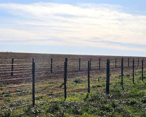 200 Hectáreas Mixtas. Sobre Autopista.