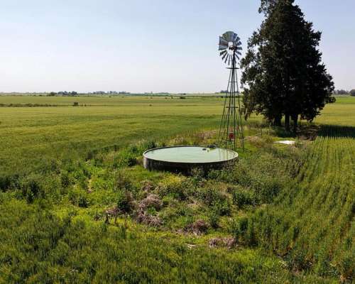 60 Hectáreas Agrícolas Sobre Ripio, Gualeguaychú.
