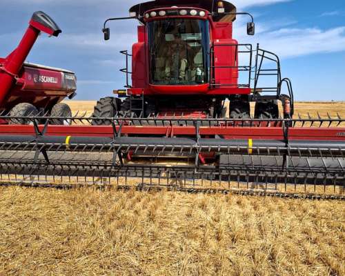 Cosechadora Case IH, 2799, año 2015, Mapeo, Piloto