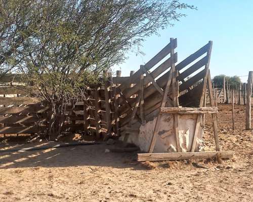 Campo Agricola Ganadero Ferlot en Catamarca