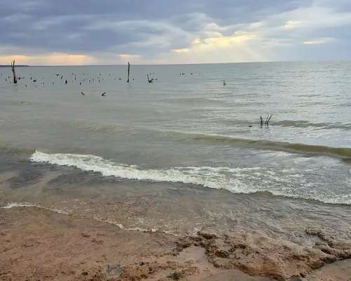 Chacra de 3.7 Ha Sobre Rio Paraná y Sobre Ruta. sin Mejoras.