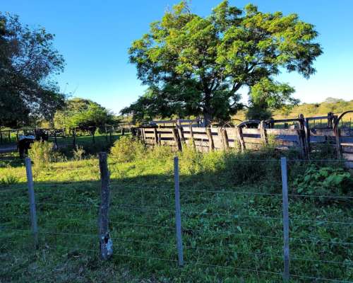 Venta 2.050 Has. en Mercedes - Corrientes