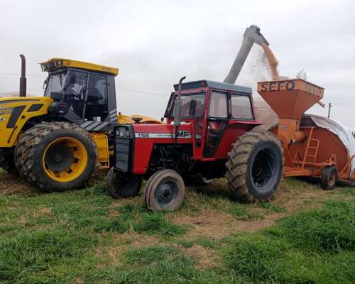 Massey Fergunson 1185 Impecable