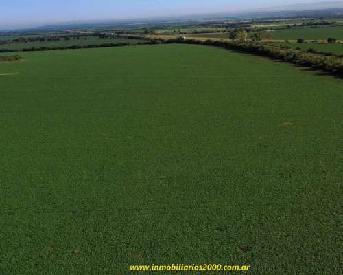 Córdoba Sarmiento 118 Has Agr+icolas Campaso