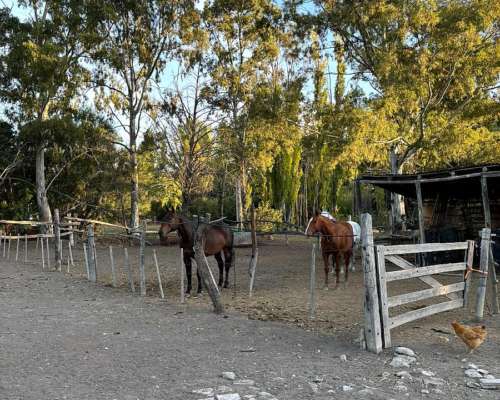 Chacra Trelew Chubut 7.5 Hectáreas
