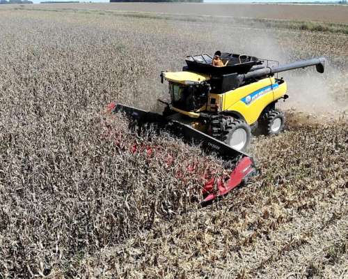 Cabezal Maicero cm 2020 de 18 Surc a 52 con Embocador, con