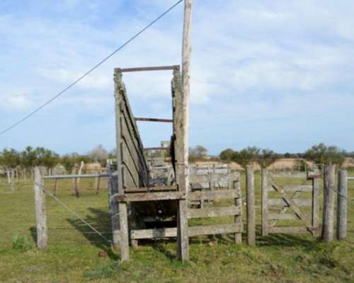 100 HA. en Dto. Uruguay