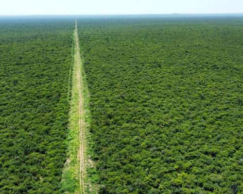 Campo Ganadero en Santiago del Estero