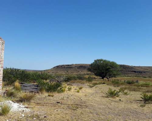 Vendo Campo en Linea SUR de Río Negro