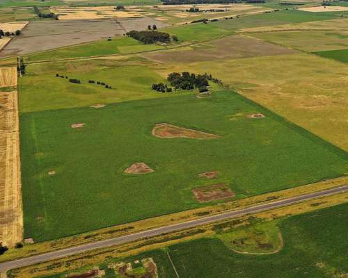 Campo Agrícola 120 HA, Bolivar (bs. As.)