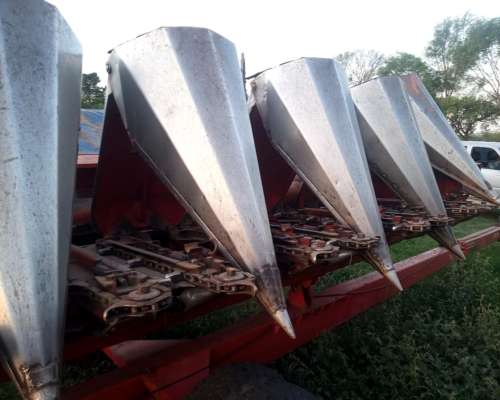 Maicero Mainero 1889 de 6 a 70