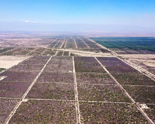 Aimogasta, Arauco, la Rioja, Argentina