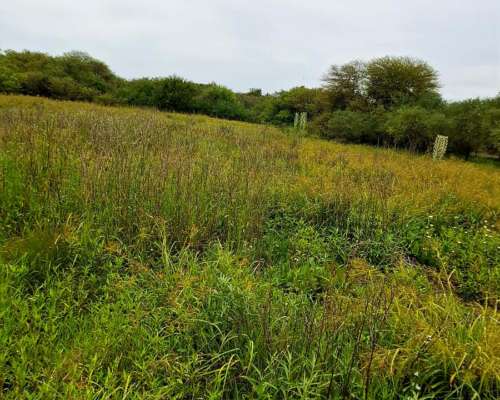 600 Has Ganaderas en Vera para Aprovechar