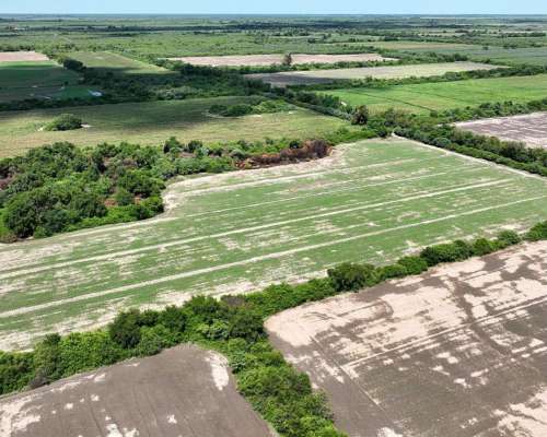 Ingeniero Forres, Robles, Santiago del Estero - 451 Ha