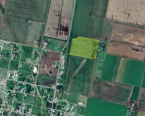 Campo Agricola 6 Has en Nelson