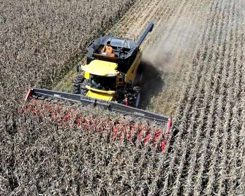 Cabezal Maicero cm 2020 de 20 Surc a 52 con Embocador, con P