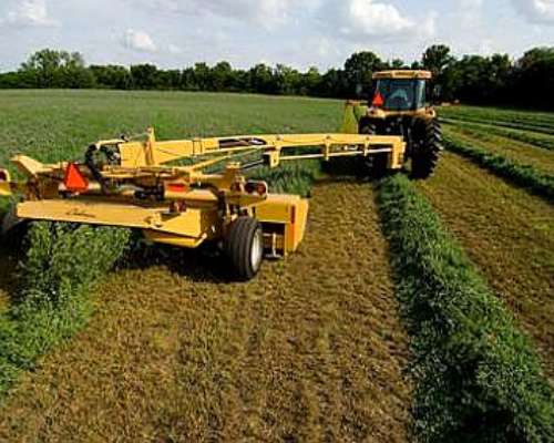 2500 Has Campo Ganadero SUR de Santiago del Estero