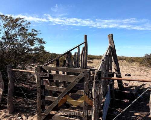 15.000 Ha Ganaderas en Lihuel Calel