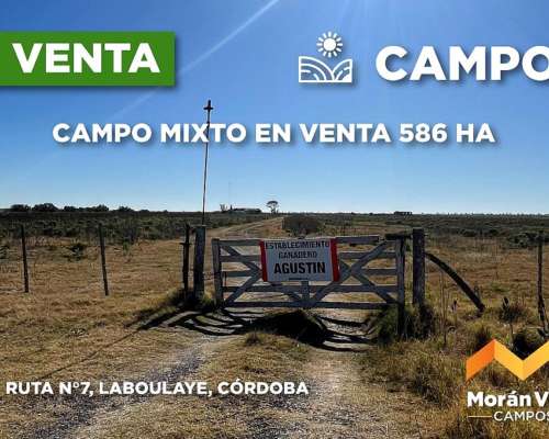 586 Ha Mixtas en Laboulaye