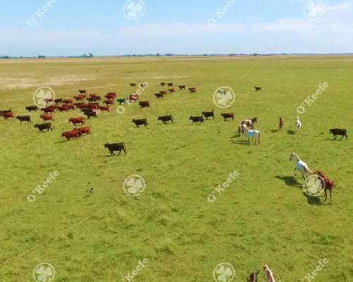 Campo Mixto en Venta 686 Has en San Vicente