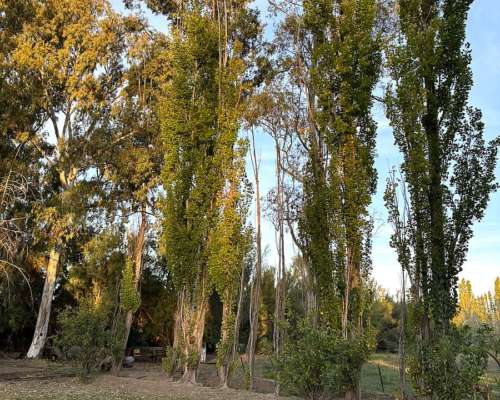 Chacra Trelew Chubut 7.5 Hectáreas