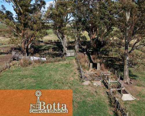 785has Mixtas en Venta en Carlos Casares