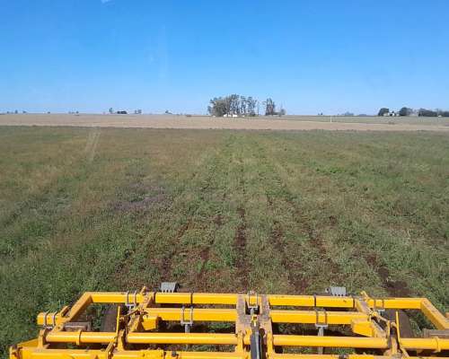 Timón Carpidor Cincel Reja