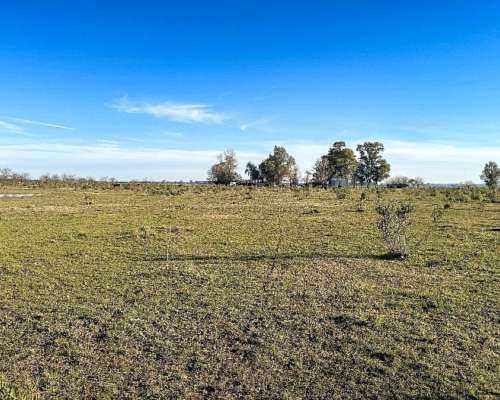Campo en Venta en Marcos PAZ 48ha