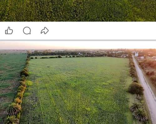 Venta/ Permuta Campo Zona Centeno