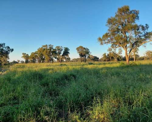 Arriendo Campo en Sachayoj, Santiago del Estero