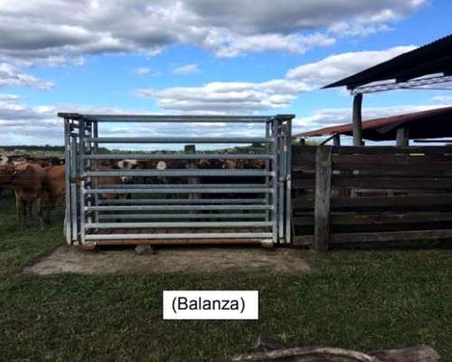 Campo 4168ha Mixto - San Luis del Palmar Corrientes