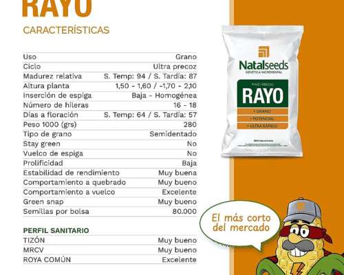 Hibrido de Maíz Ultraprecoz de Natalseed