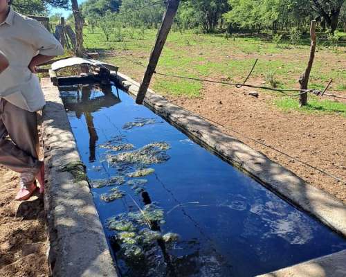 Juan Jorba Alquiler 176 Has